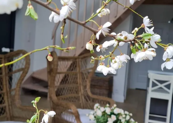 Nad Jeziorami Niedzwiady Слесин